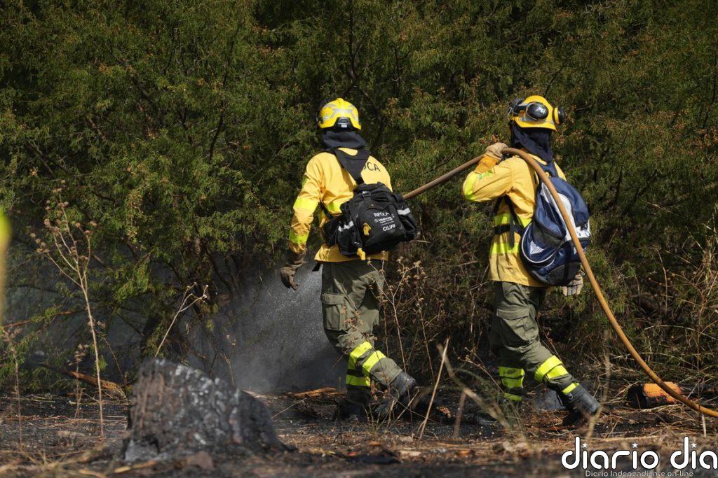El Infoca da por controlado el incendio originado en una cuneta de la A-44 en el Valle de Lecrín en Granada