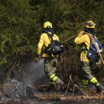 El Infoca da por controlado el incendio originado en una cuneta de la A-44 en el Valle de Lecrín en Granada