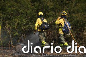 El Infoca da por controlado el incendio originado en una cuneta de la A-44 en el Valle de Lecrín en Granada