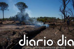 El Infoca da por estabilizado el quinto incendio forestal en 15 días en Lucena del Puerto (Huelva)