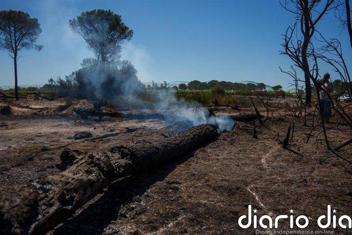 El Infoca da por estabilizado el quinto incendio forestal en 15 días en Lucena del Puerto (Huelva)