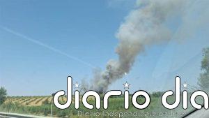 El Infoca da por extinguido el incendio forestal declarado en Villalba del Alcor (Huelva)