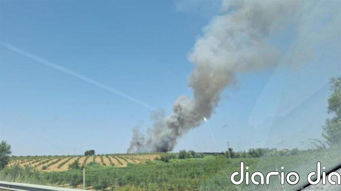 El Infoca da por extinguido el incendio forestal declarado en Villalba del Alcor (Huelva)