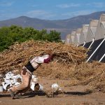 El Niño es una amenaza para los trabajadores en América Latina