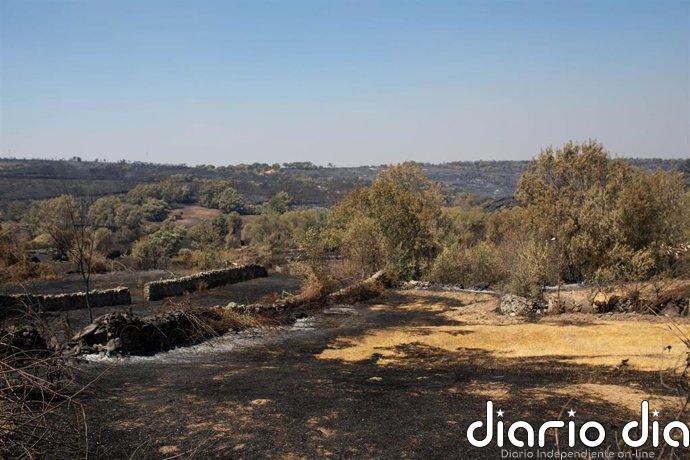 El operativo del incendio de Fermoselle refresca puntos calientes, consolida la defensa y prevé una noche favorable