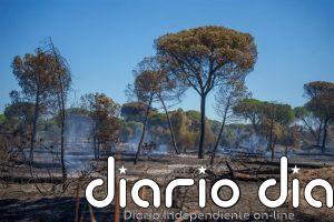 El Plan Infoca continúa las labores para controlar el incendio de Lucena del Puerto (Huelva), ya estabilizado