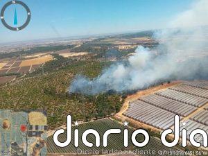 El Plan Infoca moviliza cinco medios aéreos para extinguir un incendio declarado en Moguer (Huelva)