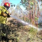 El Plan Infoex interviene en 19 incendios forestales en la última semana, 13 en Badajoz y 6 en Cáceres