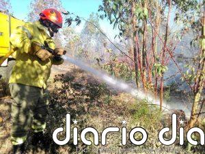 El Plan Infoex interviene en 19 incendios forestales en la última semana, 13 en Badajoz y 6 en Cáceres