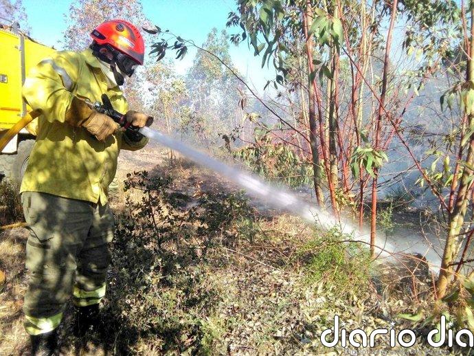 El Plan Infoex interviene en 19 incendios forestales en la última semana, 13 en Badajoz y 6 en Cáceres