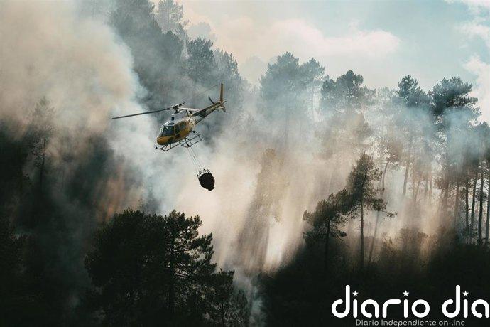 El Plan Infoex interviene esta semana en 20 incendios forestales, 12 en la provincia de Cáceres y 8 en la de Badajoz
