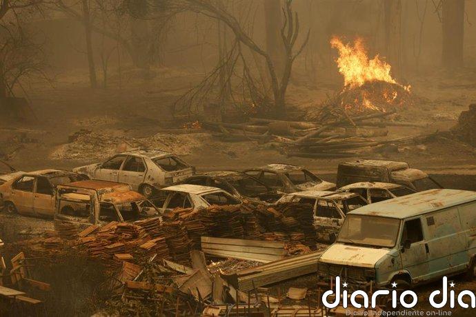 El presidente de Argelia ordena introducir en el Código Penal la pena de muerte para responsables de incendios