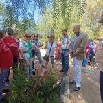 El programa 'Semillas de Experiencia' cierra su primera edición en Jaén con 646 participantes de 14 entidades