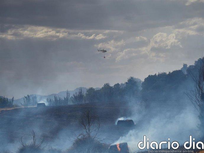El riesgo de incendio forestal este domingo es "muy alto" o "extremo" en gran parte de Navarra
