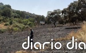 El Seprona investiga a una persona por provocar un incendio forestal por imprudencia grave en Córdoba