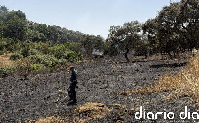 El Seprona investiga a una persona por provocar un incendio forestal por imprudencia grave en Córdoba