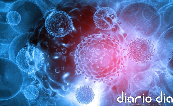 El sistema inmunitario usa una especie de aprendizaje automático para seleccionar células