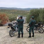 El supuesto avistamiento de un gran felino obliga a la Guardia Civil a un operativo en Sierra de San Vicente