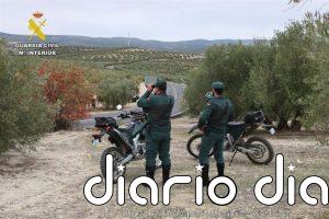 El supuesto avistamiento de un gran felino obliga a la Guardia Civil a un operativo en Sierra de San Vicente