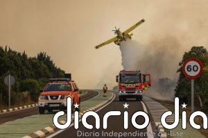 Emergencias rebaja a 31,38 las hectáreas afectadas por el fuego de El Saler con 4,2 km de perímetro