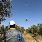 Endesa impulsa en Fuente de Piedra un innovador proyecto piloto para mejorar protección de aves