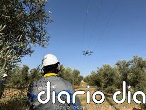 Endesa impulsa en Fuente de Piedra un innovador proyecto piloto para mejorar protección de aves
