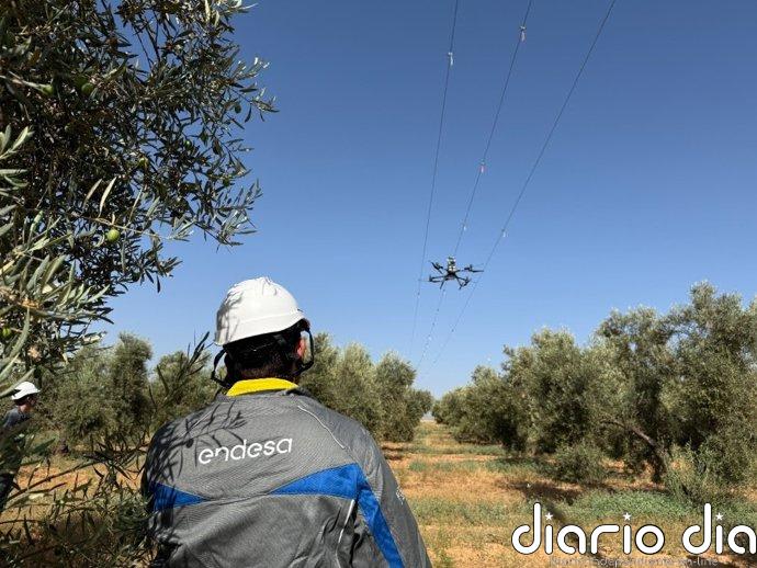 Endesa impulsa en Fuente de Piedra un innovador proyecto piloto para mejorar protección de aves