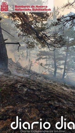 Estabilizado el incendio declarado este viernes en Urzainqui Imagen del incendio forestal en Urzainqui.