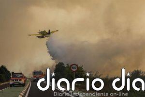 Estabilizado el incendio forestal de El Saler