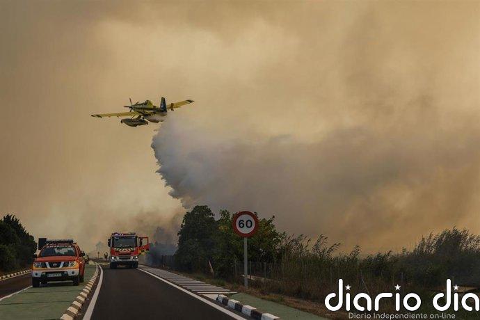 Estabilizado el incendio forestal de El Saler
