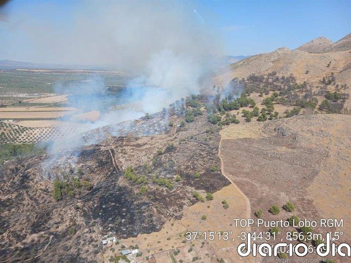 Estabilizado el incendio que ha movilizado a una decena de medios aéreos en Soportújar