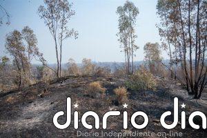 Evolución positiva del incendio de Niebla (Huelva) con "gran parte" de los flancos "sin frente activo"