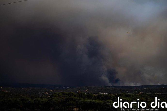 Experto dice que el incendio de Niebla (Huelva) es de "muy difícil" extinción al crear una atmósfera modificada