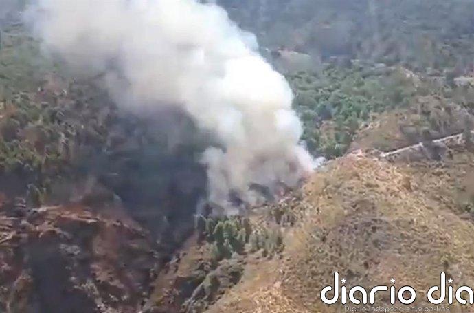 Extinguido el incendio en La Tahá (Granada) que afectaba a una hectárea de matorral y otra de arbolado