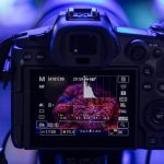 Fotografiar corales para salvar los océanos: el papel de la tecnología en su reproducción