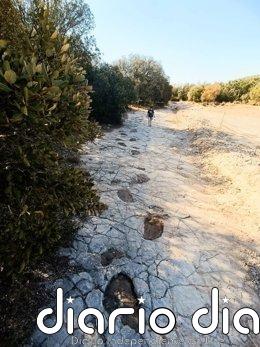 Fundación Dinópolis presenta este miércoles el rastro más largo de un saurópodo del Jurásico de España