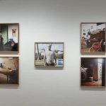 Fundación Mapfre celebra el Día de la Fotografía con entradas gratis en sus exposiciones de Madrid y Barcelona