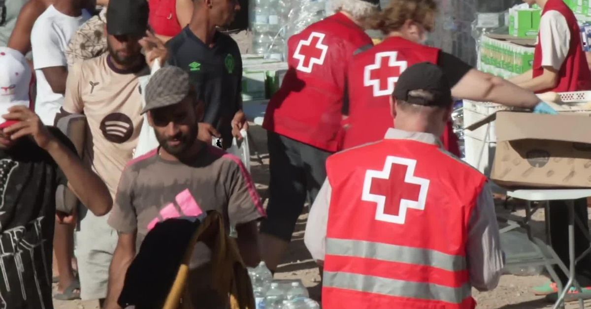 furgones-de-la-policia-nacional-escoltan-a-la-cruz-roja-para-el-reparto-de-comida-en-playa-de-benitez.jpg