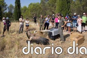 Gobierno de La Rioja libera 44 aves huérfanas recuperadas a través programa de voluntariado ambiental 'Ayúdale a volar'