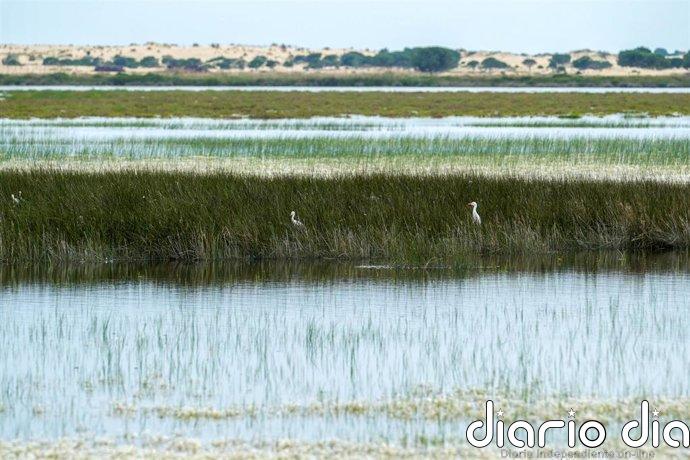 Huelva recibe 1,5 millones de ayudas para iniciativas con migrantes del entorno de Doñana y Cádiz y Sevilla medio millón