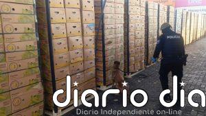 Incautadas en Guayaquil (Ecuador) 1,2 toneladas de cocaína impregnada en cajas de fruta con destino a España