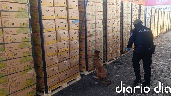 Incautadas en Guayaquil (Ecuador) 1,2 toneladas de cocaína impregnada en cajas de fruta con destino a España