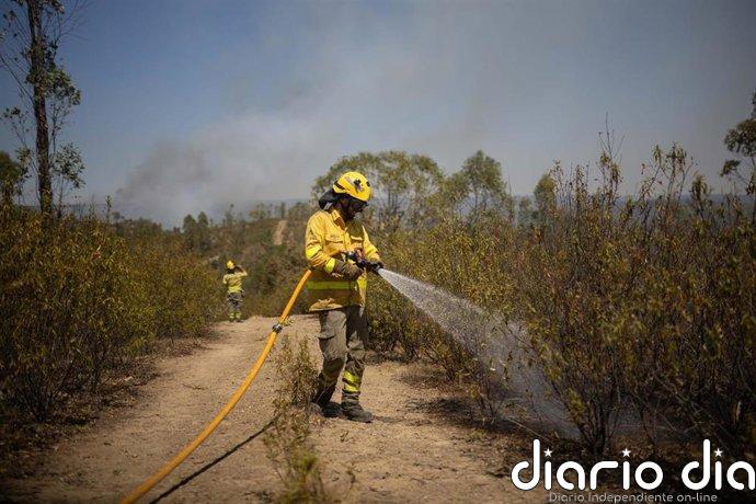 Infoca eleva a situación operativa 2 el incendio de Niebla por su "inestabilidad" y solicita la intervención de la UME