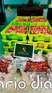Intervenidos 146 kilos de cigala sin trazabilidad en un vehículo que partió del puerto de Cariño (A Coruña)