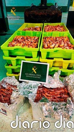 Intervenidos 146 kilos de cigala sin trazabilidad en un vehículo que partió del puerto de Cariño (A Coruña)