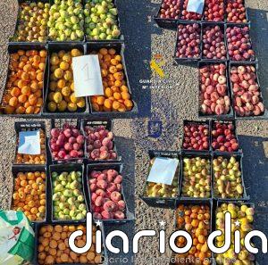 Investigadas cinco personas por la sustracción de 1.500 kilos de fruta en una explotación de Badajoz