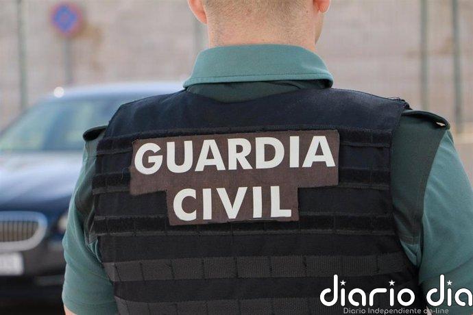 Investigado por un delito contra la flora y la fauna por la captura ilegal de aves fringílidas en Córdoba