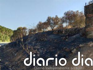 Investigan a un hombre como presunto autor de ocho incendios en Villaviciosa de Córdoba