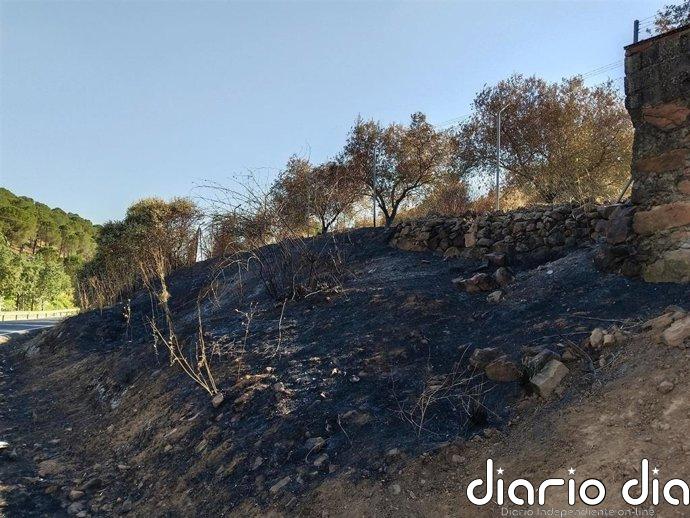 Investigan a un hombre como presunto autor de ocho incendios en Villaviciosa de Córdoba