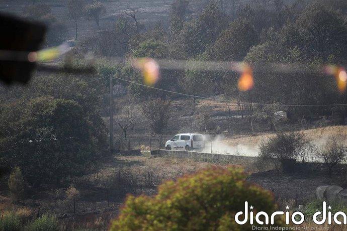 Jornada sin reactivaciones en el incendio de Veguellina (León) que podría bajar a IGR 0 este lunes